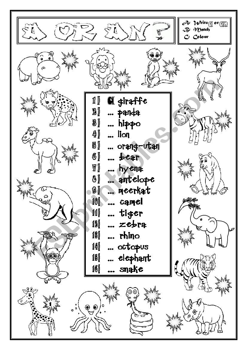 A or AN? worksheet