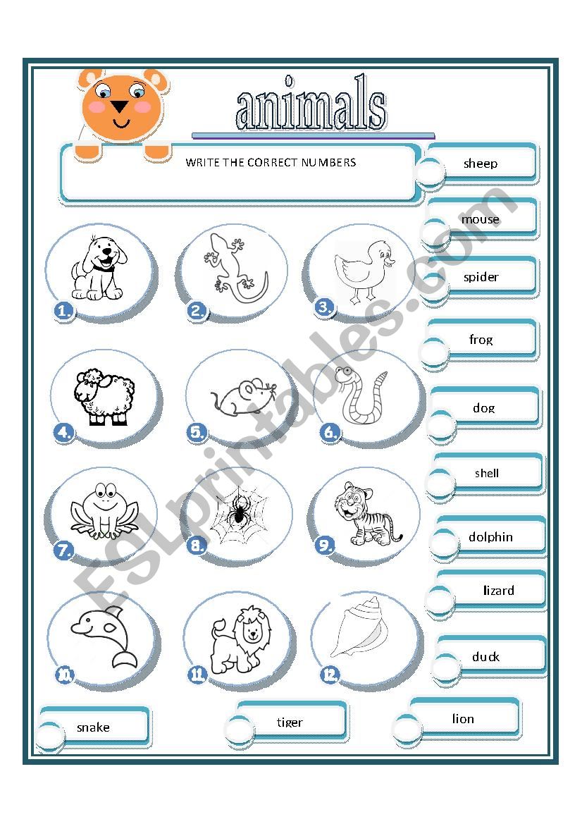 write the correct numbers worksheet