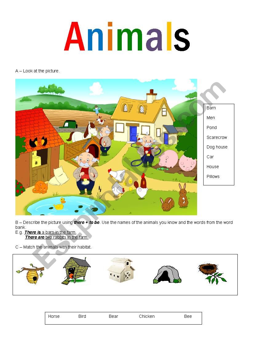 ANIMALS worksheet