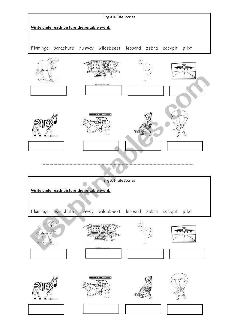 life stories worksheet
