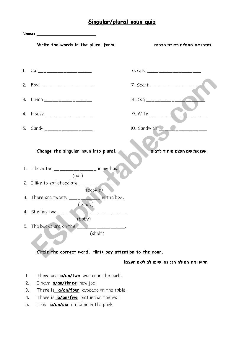 plural nouns worksheet