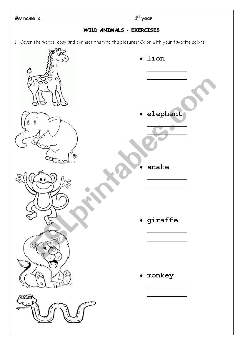 Wild animals  worksheet