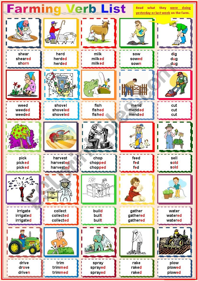 Farm Verb List - Pictionary - infinitive, past simple, past participle.