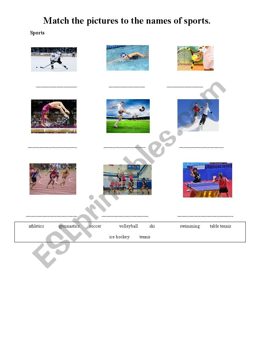 Sports worksheet