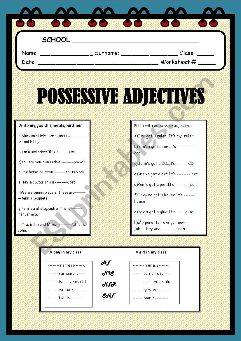 possessive adjcetives worksheet