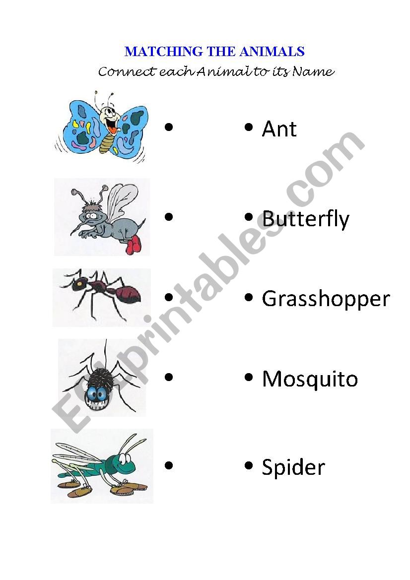 Matching Animals (3/6) worksheet