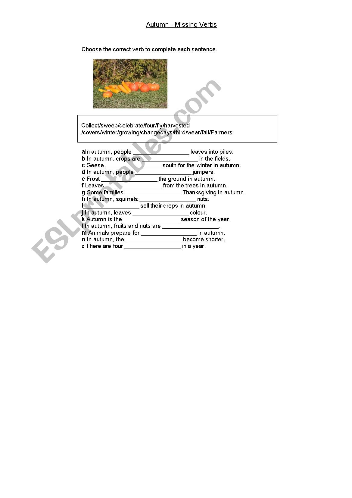 Autumn worksheet