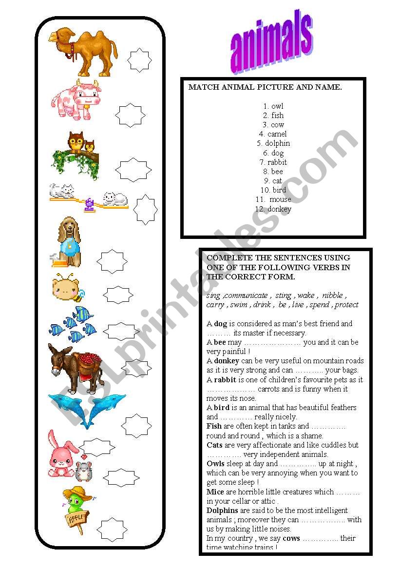 ANIMALS worksheet