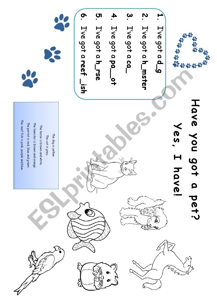 Have you got a pet? - song worksheet 