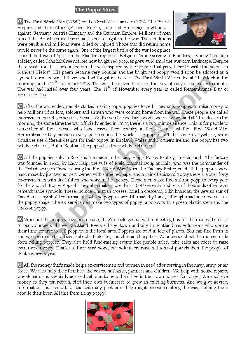 The Poppy Story worksheet