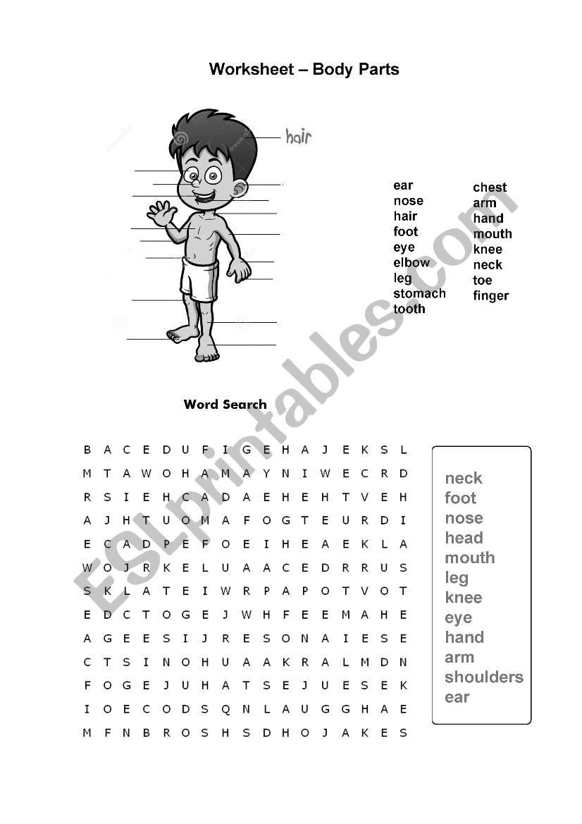 Worksheet Body Parts worksheet