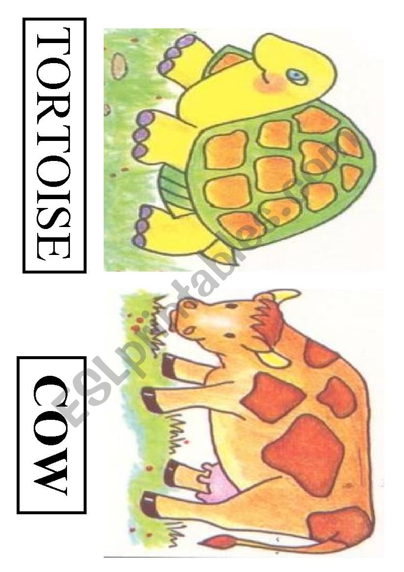 animals worksheet