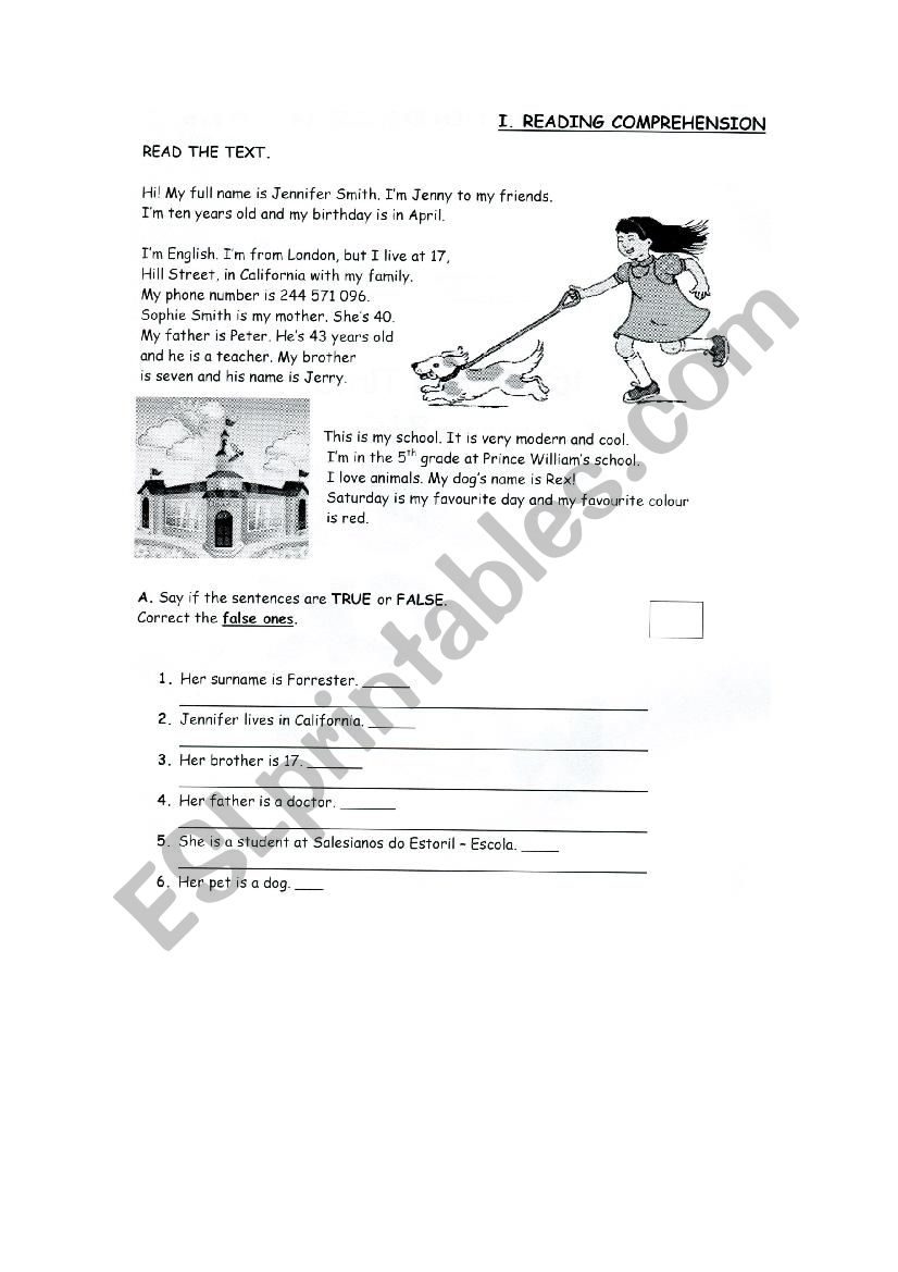 READING COMPREHENSION worksheet