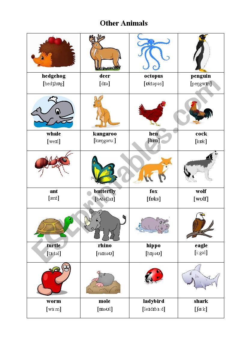 Other Animals worksheet
