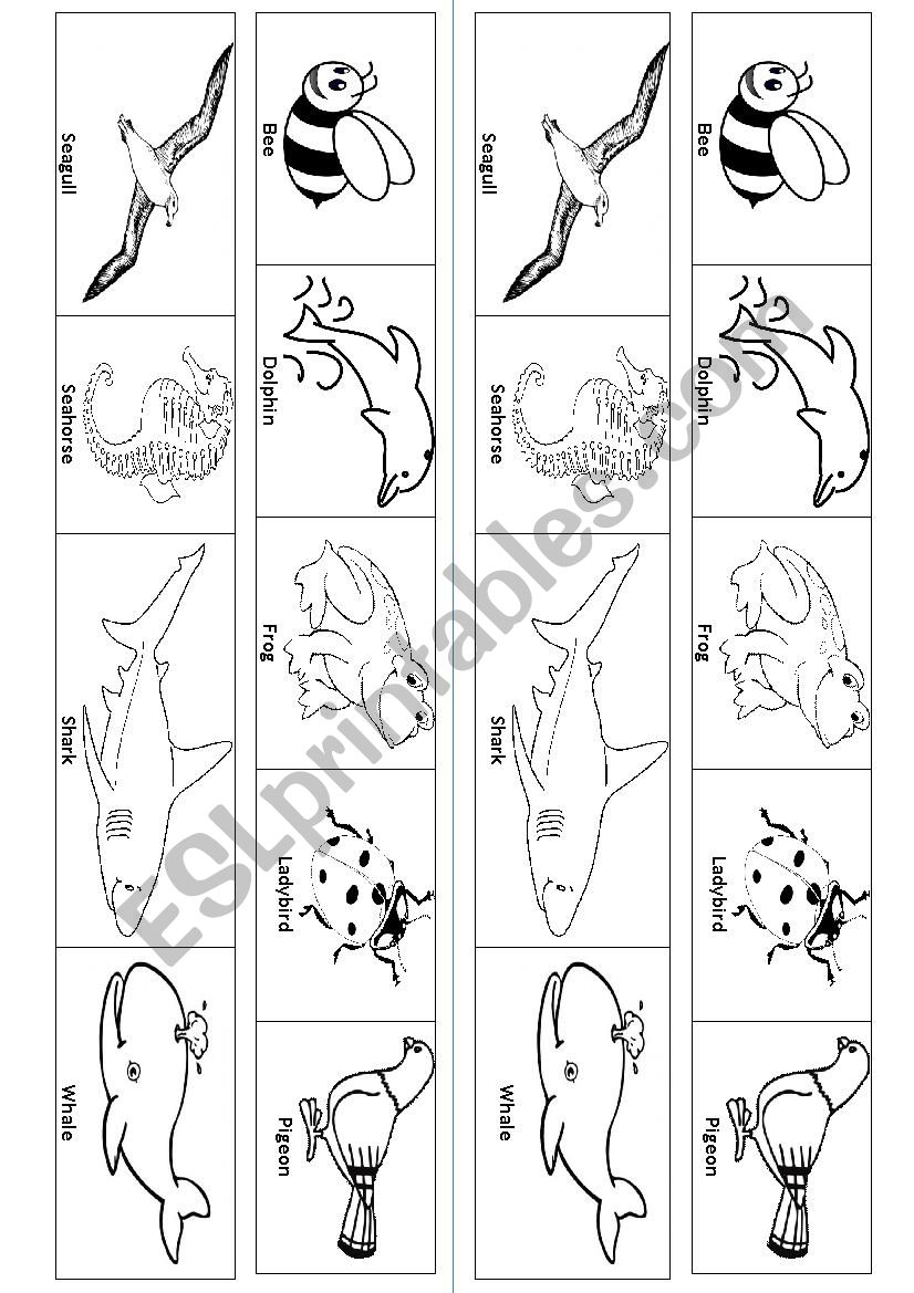 animals worksheet