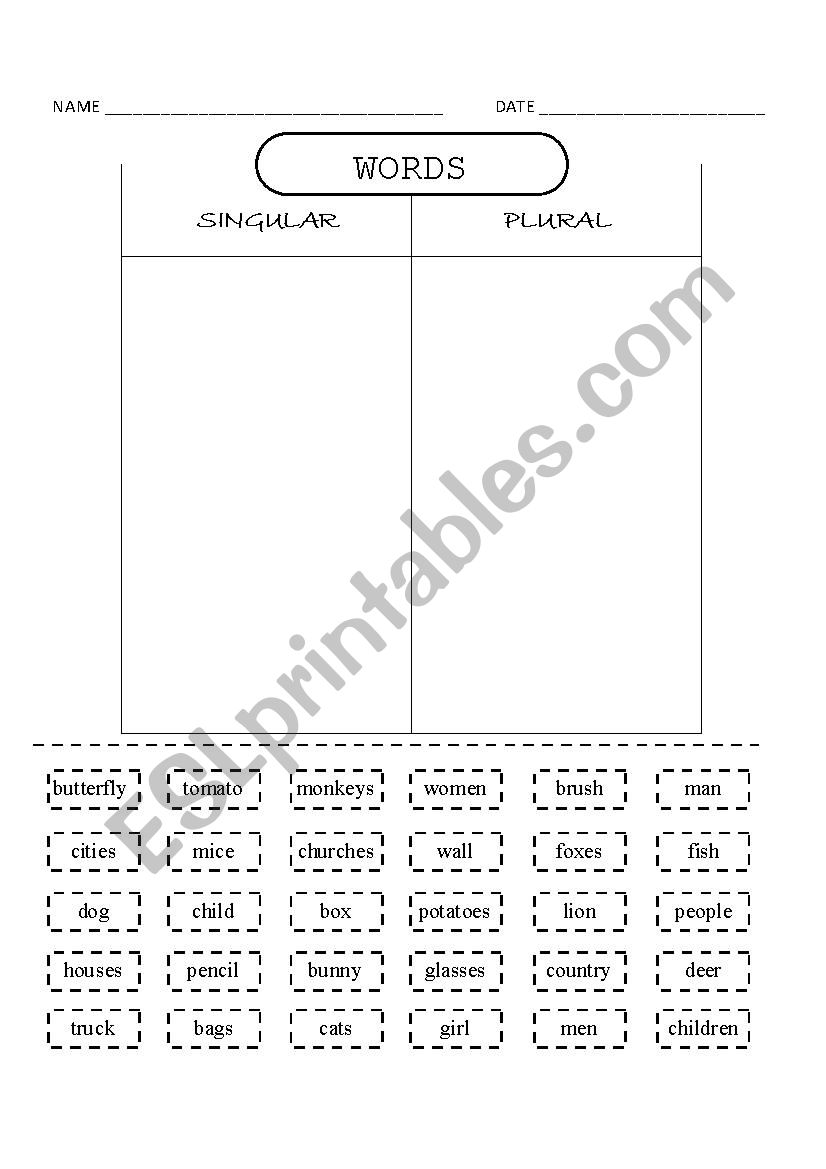 SINGULAR AND PLURAL worksheet