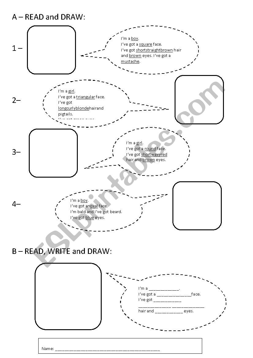 Physical description worksheet