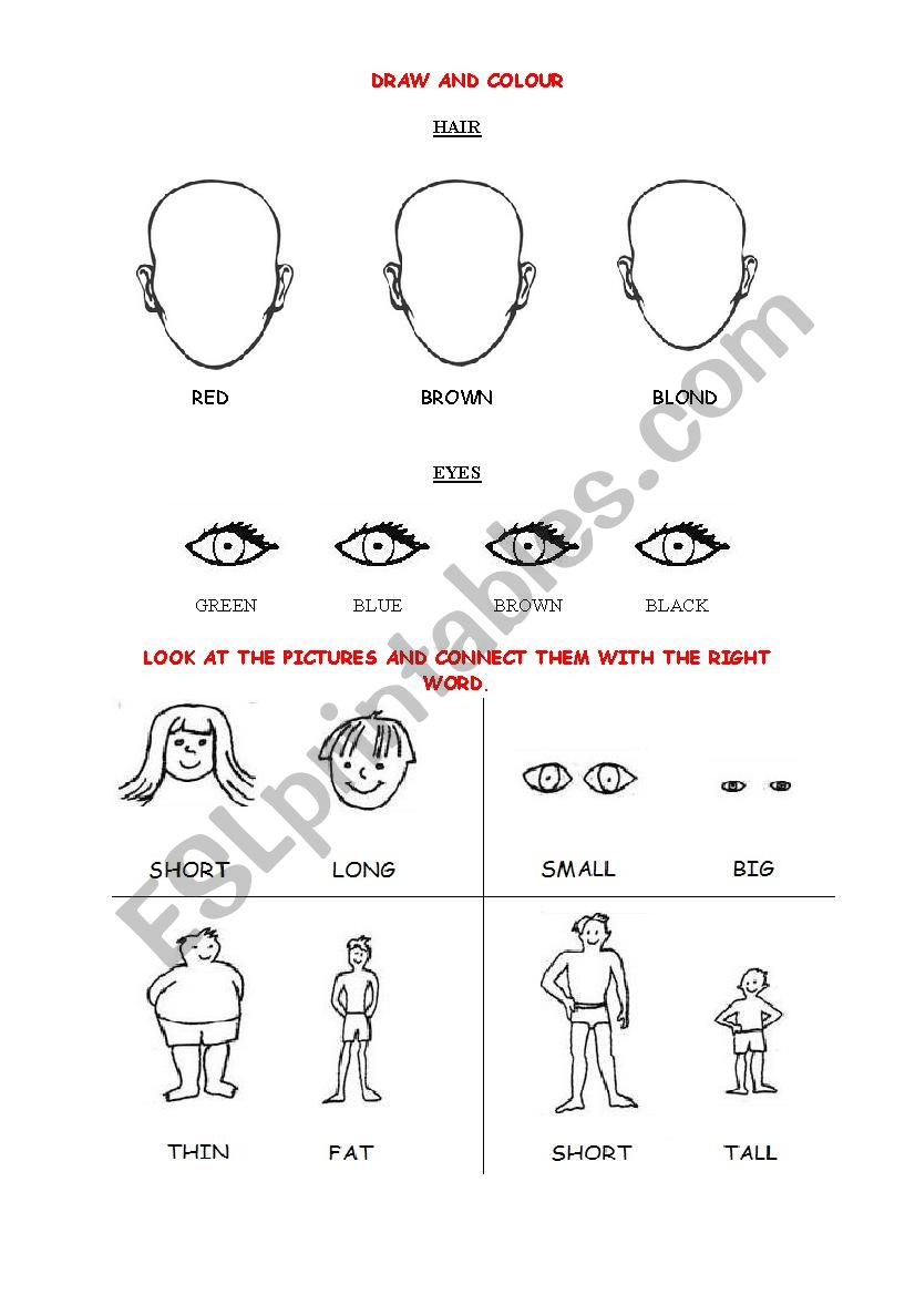 DESCRIPTIONS VOCABULARY worksheet