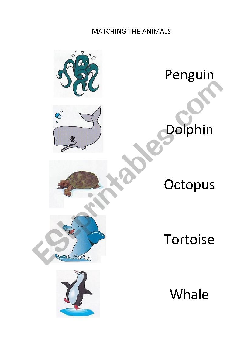 Matching Animals (4/6) worksheet