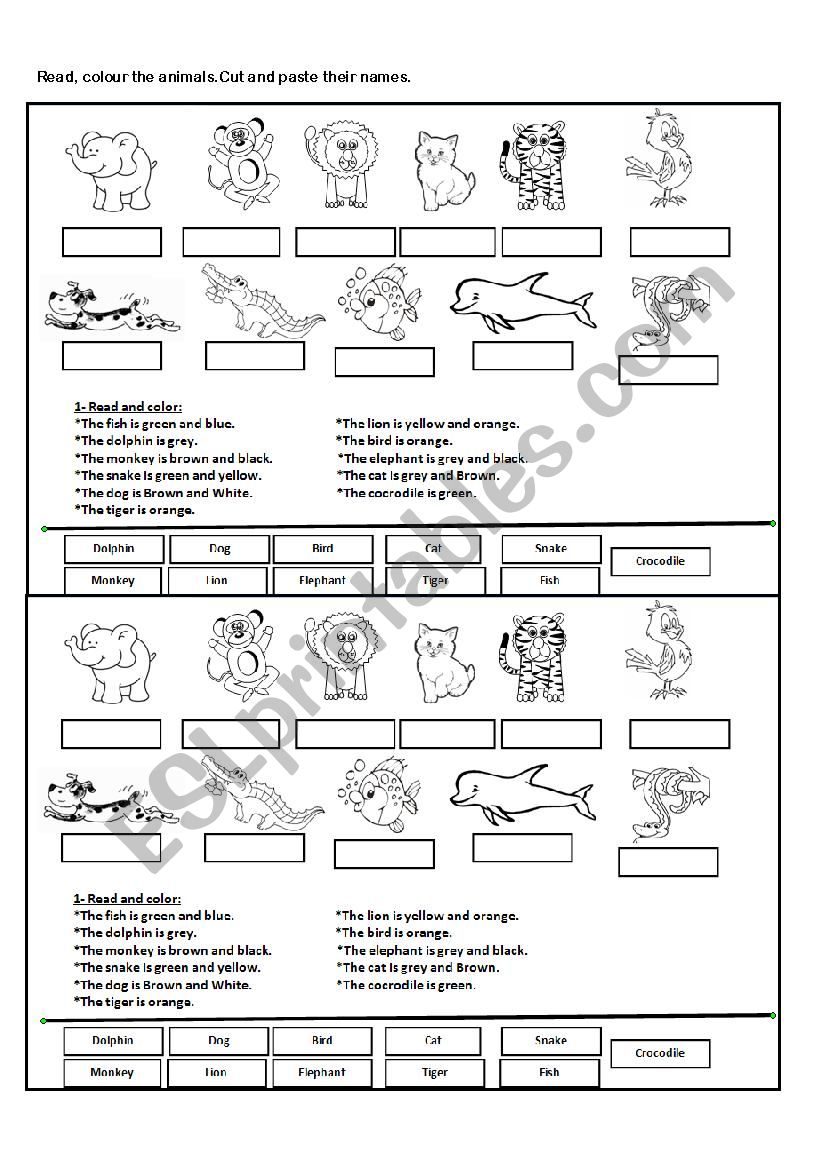 Animals for fun! worksheet