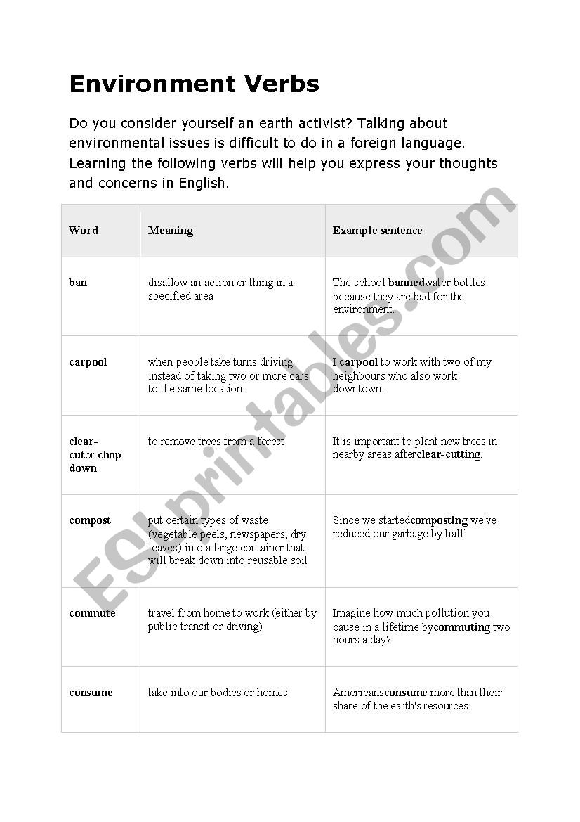 Pollution Vocabulary worksheet