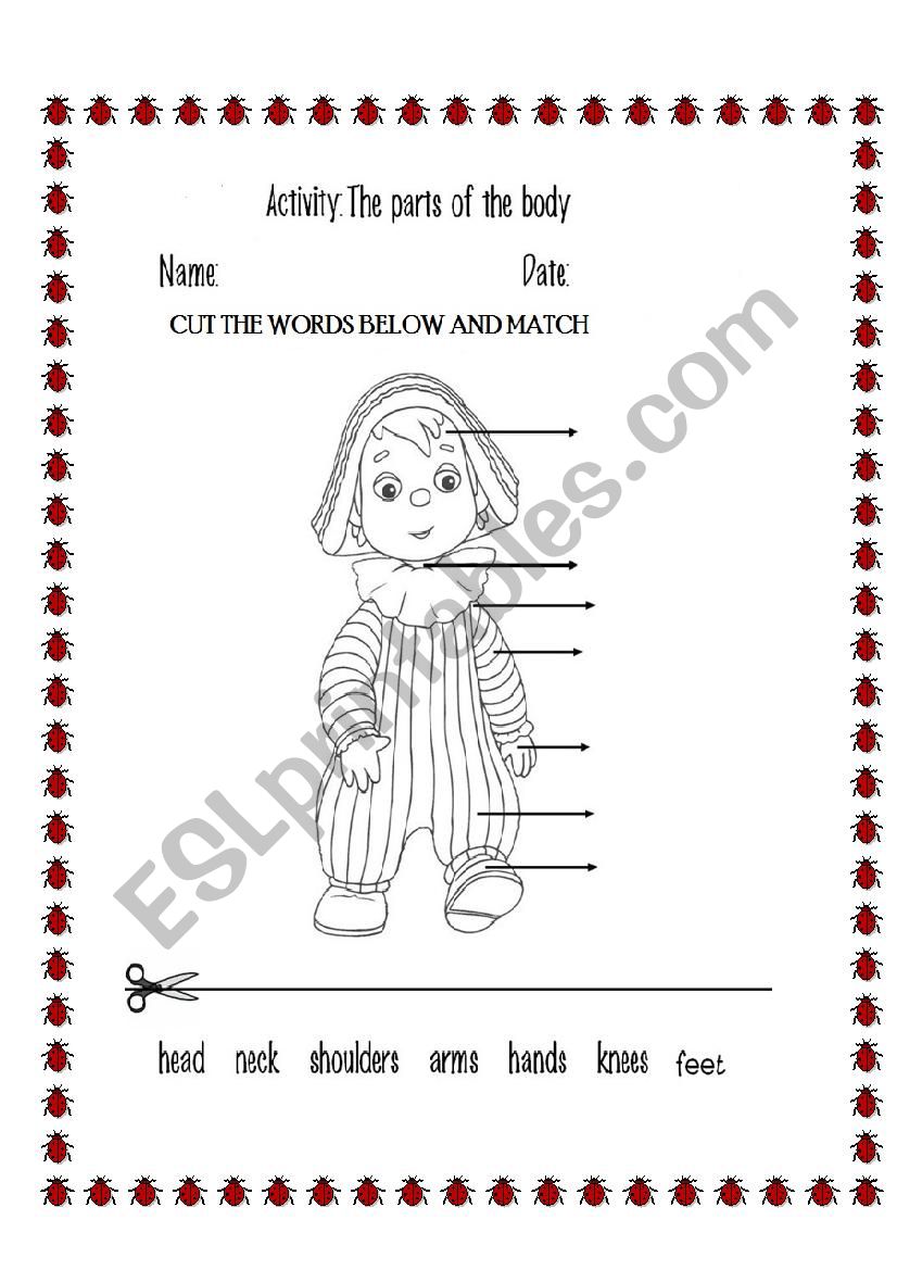 PARTS OF THE BODY worksheet