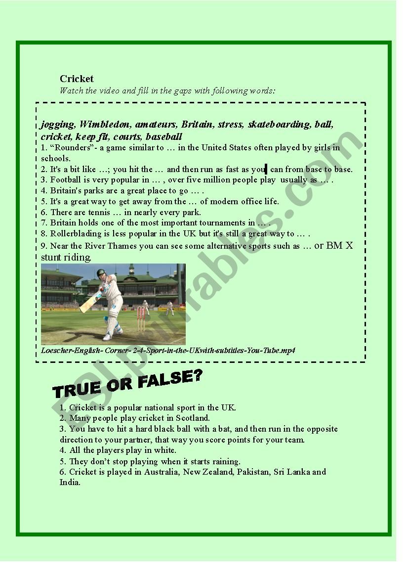 Cricket   worksheet