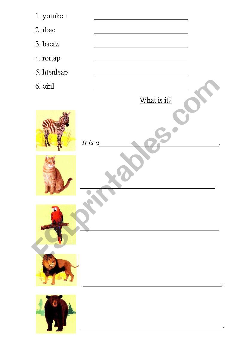 Animals (Beginner) worksheet
