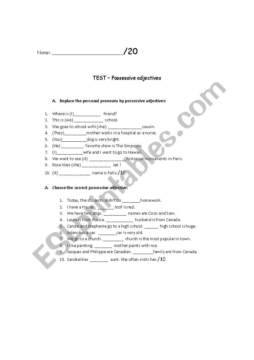 Possessive adjectives - Test worksheet