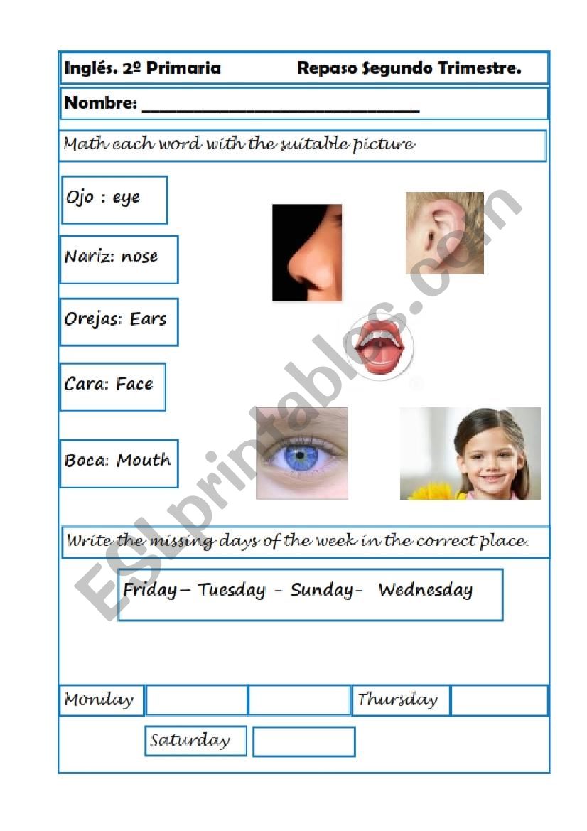 Our Face. My body. Days of the week.