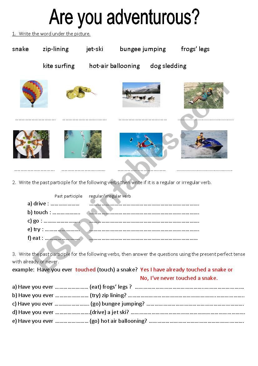 Are you adventurous? worksheet