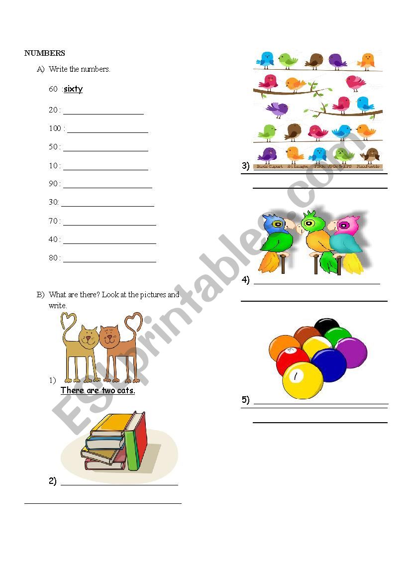 Numbers worksheet