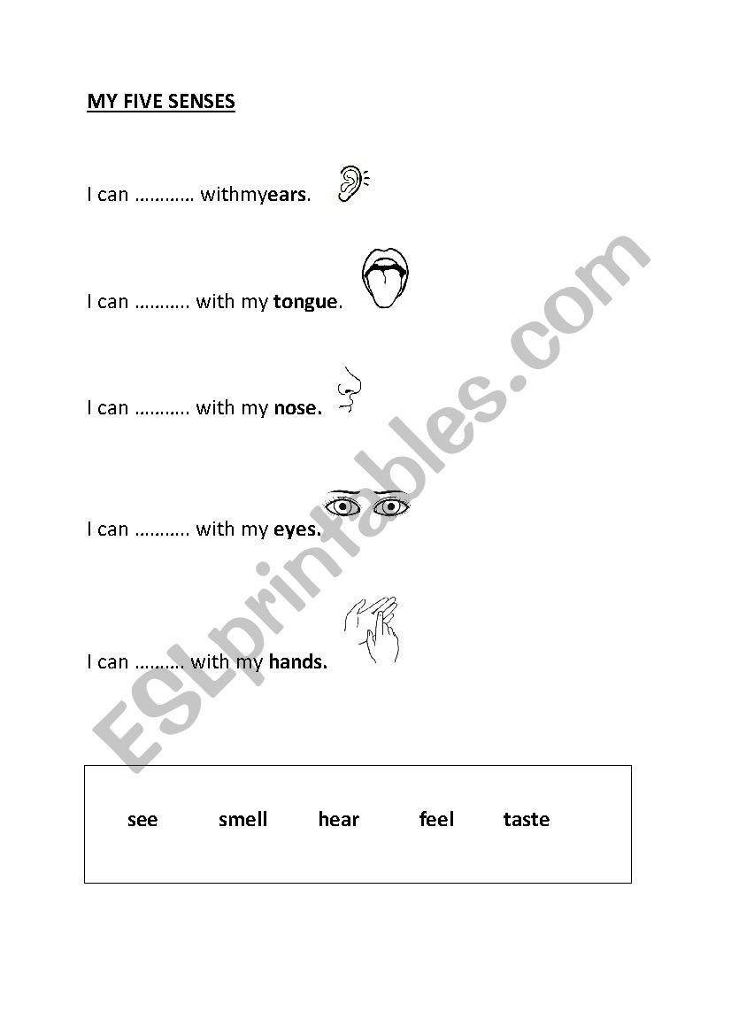 FIVE SENSES worksheet