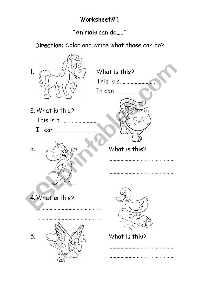 What is this? worksheet