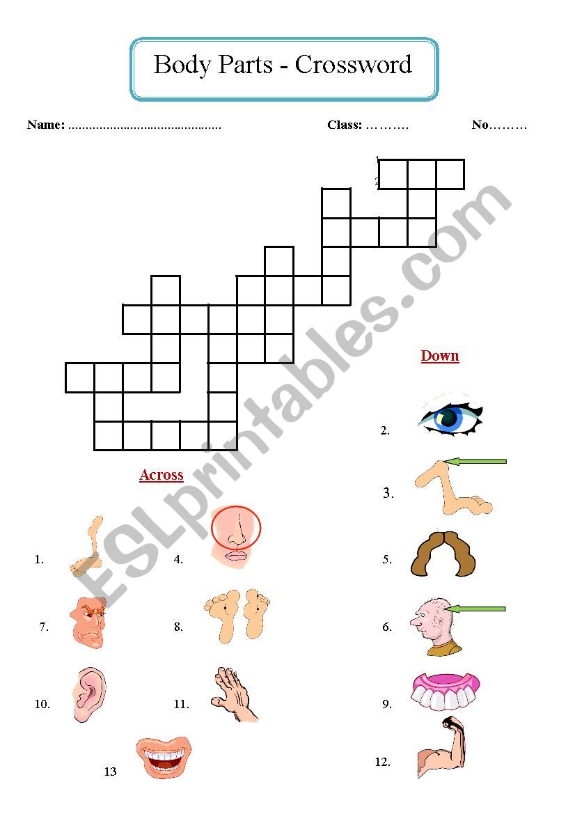 Body Parts - Crossword worksheet