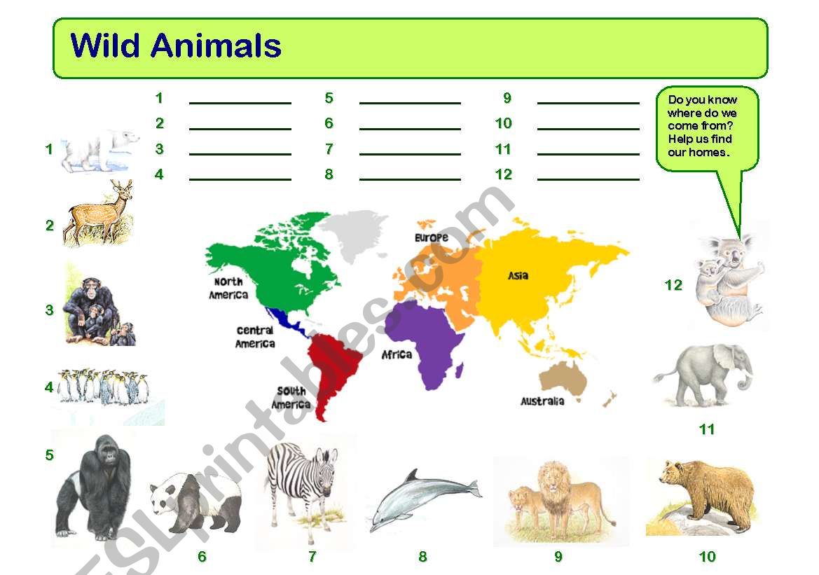 Wild Animals worksheet