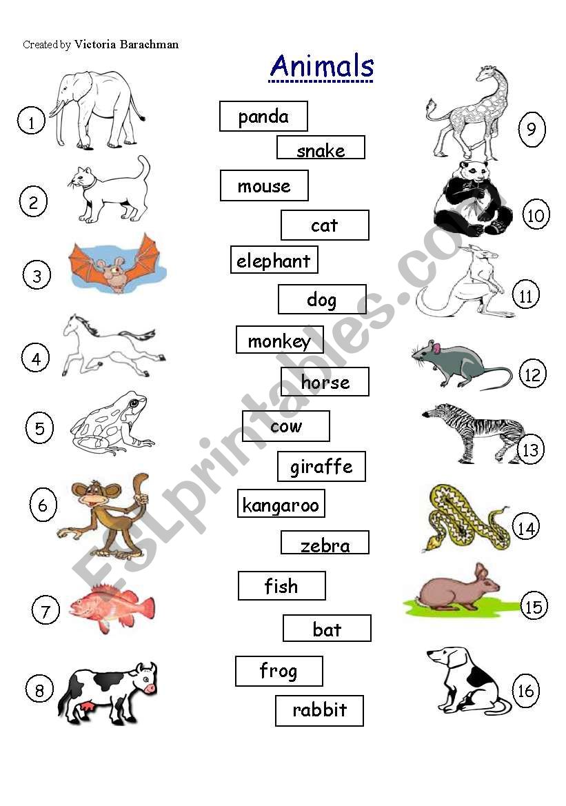 Match the Animals - ESL worksheet by Victoria-Ladybug