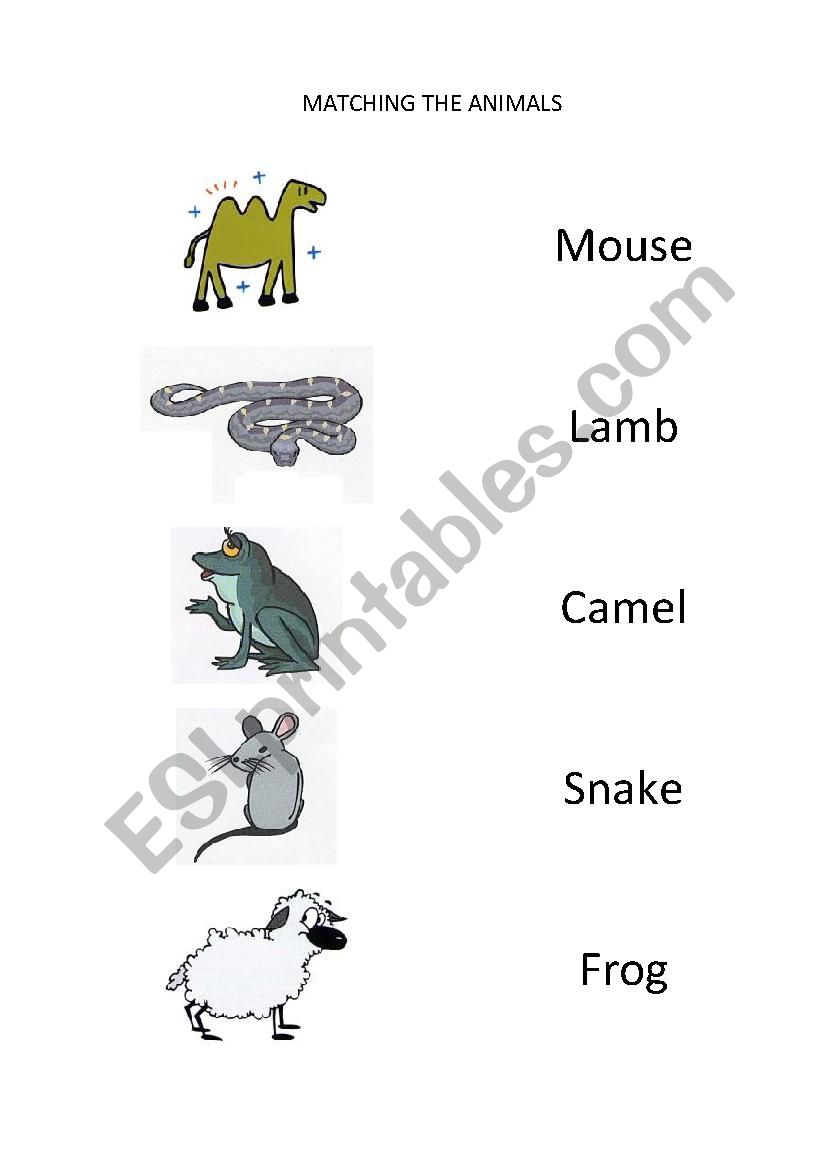 Matching Animals (5/6) worksheet