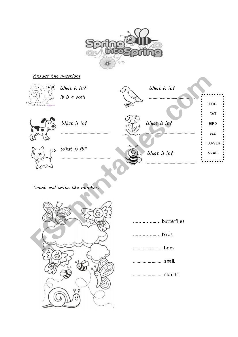 Spring test worksheet