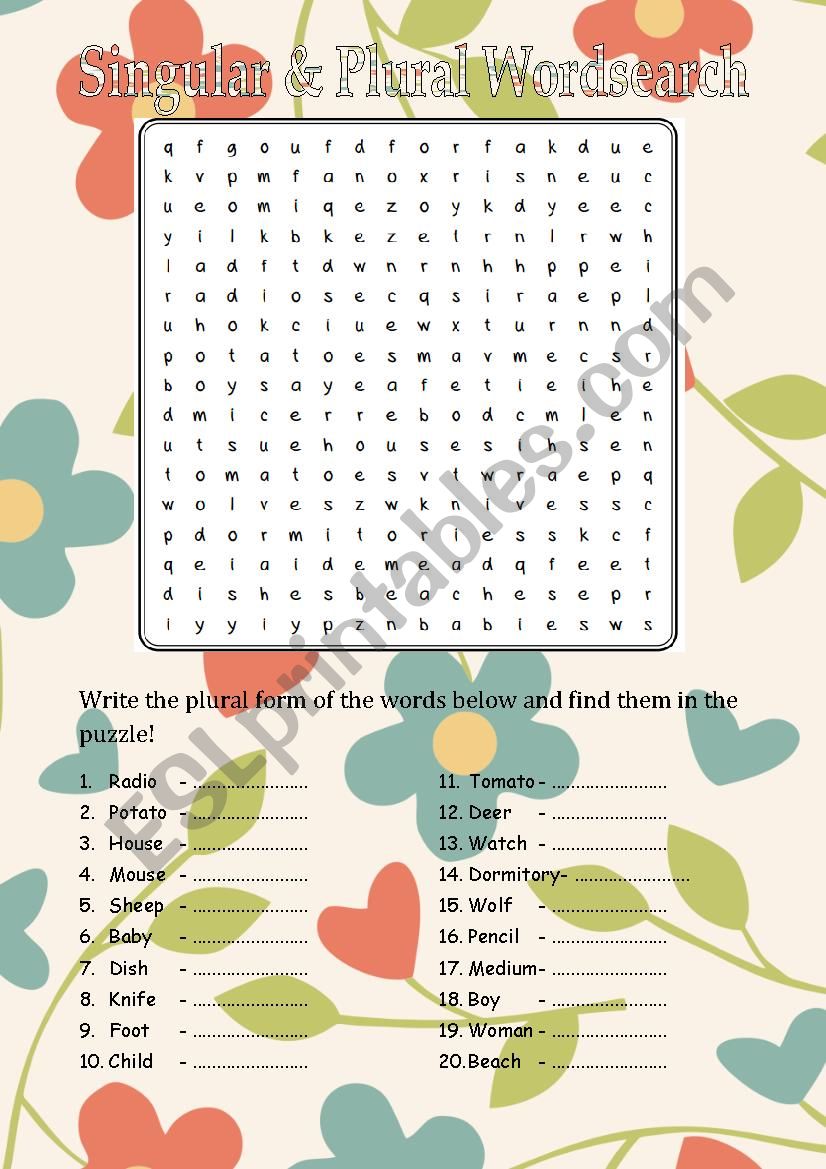 singular plural word search worksheet