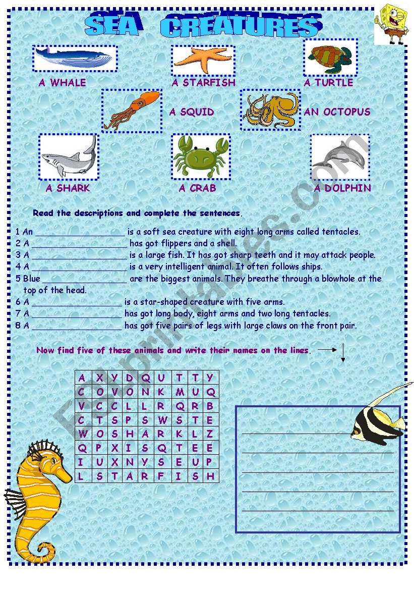 Sea creatures worksheet