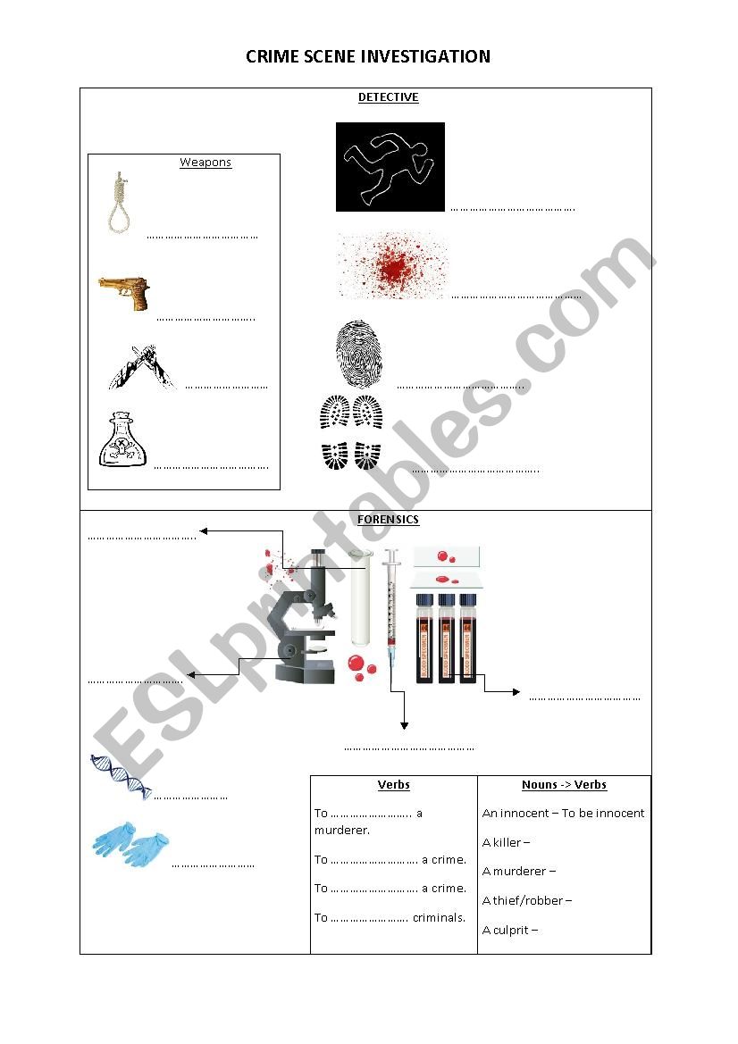 Crime scene vocabulary - 4me worksheet