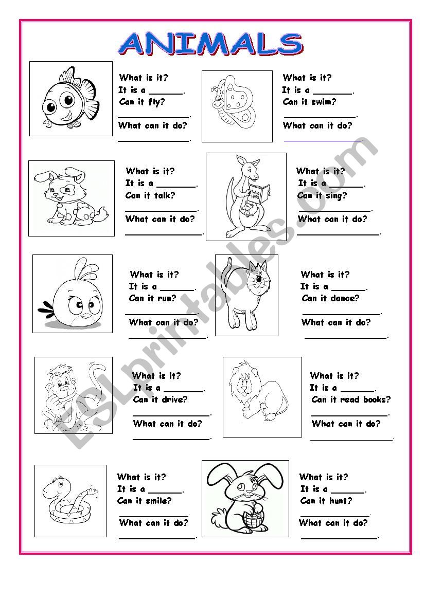 Animals abilities worksheet