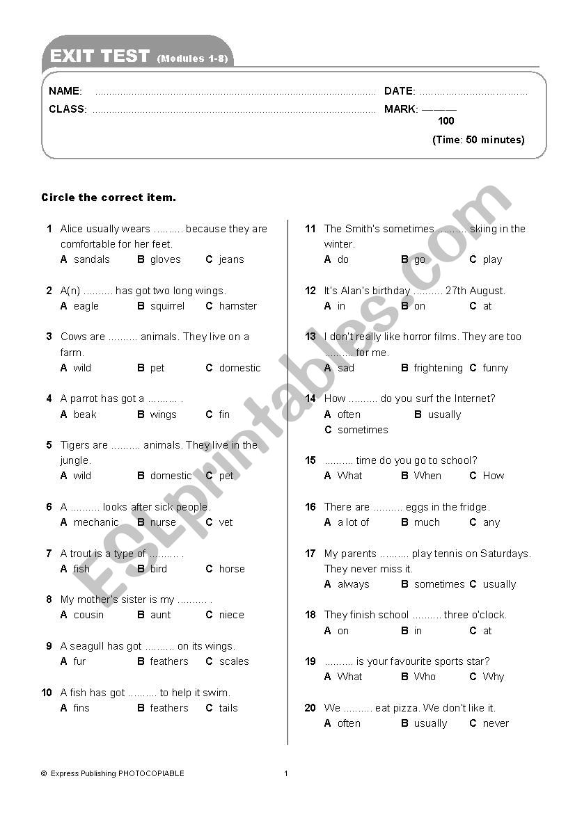 Spark reading  worksheet