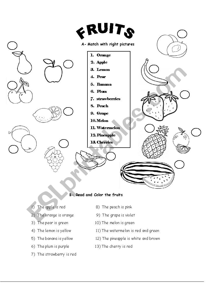 fruits worksheet