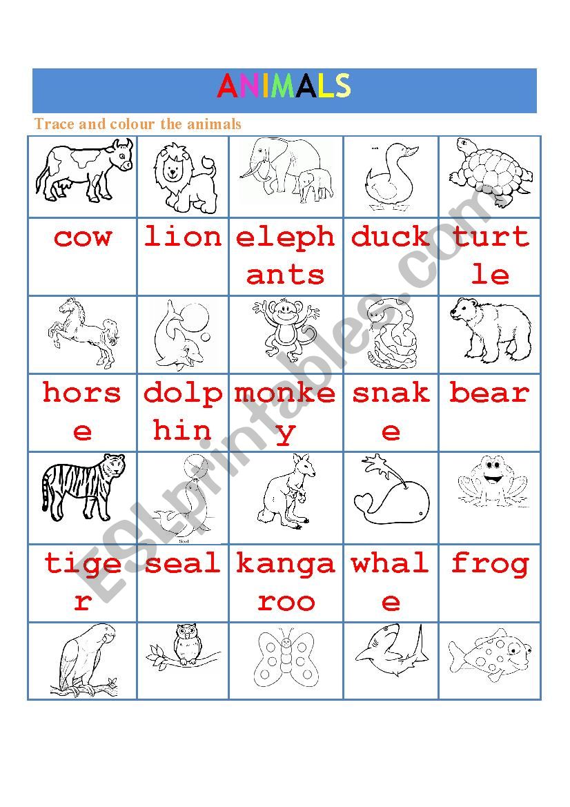 ANIMALS worksheet