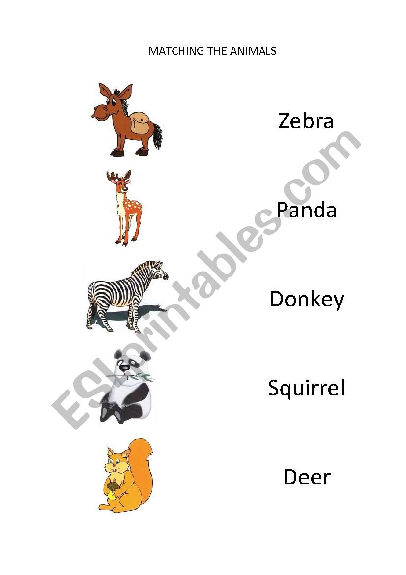 Matching Animals (6/6) worksheet
