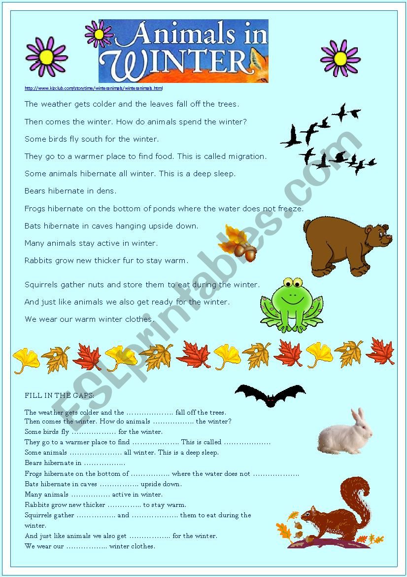 ANIMALS IN WINTER worksheet