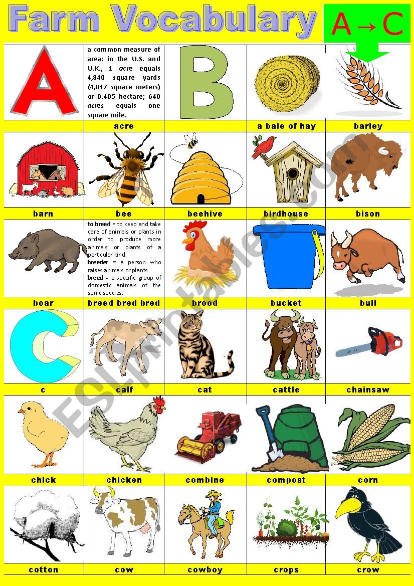 Farm vocabulary - Pictionary -  A to C
