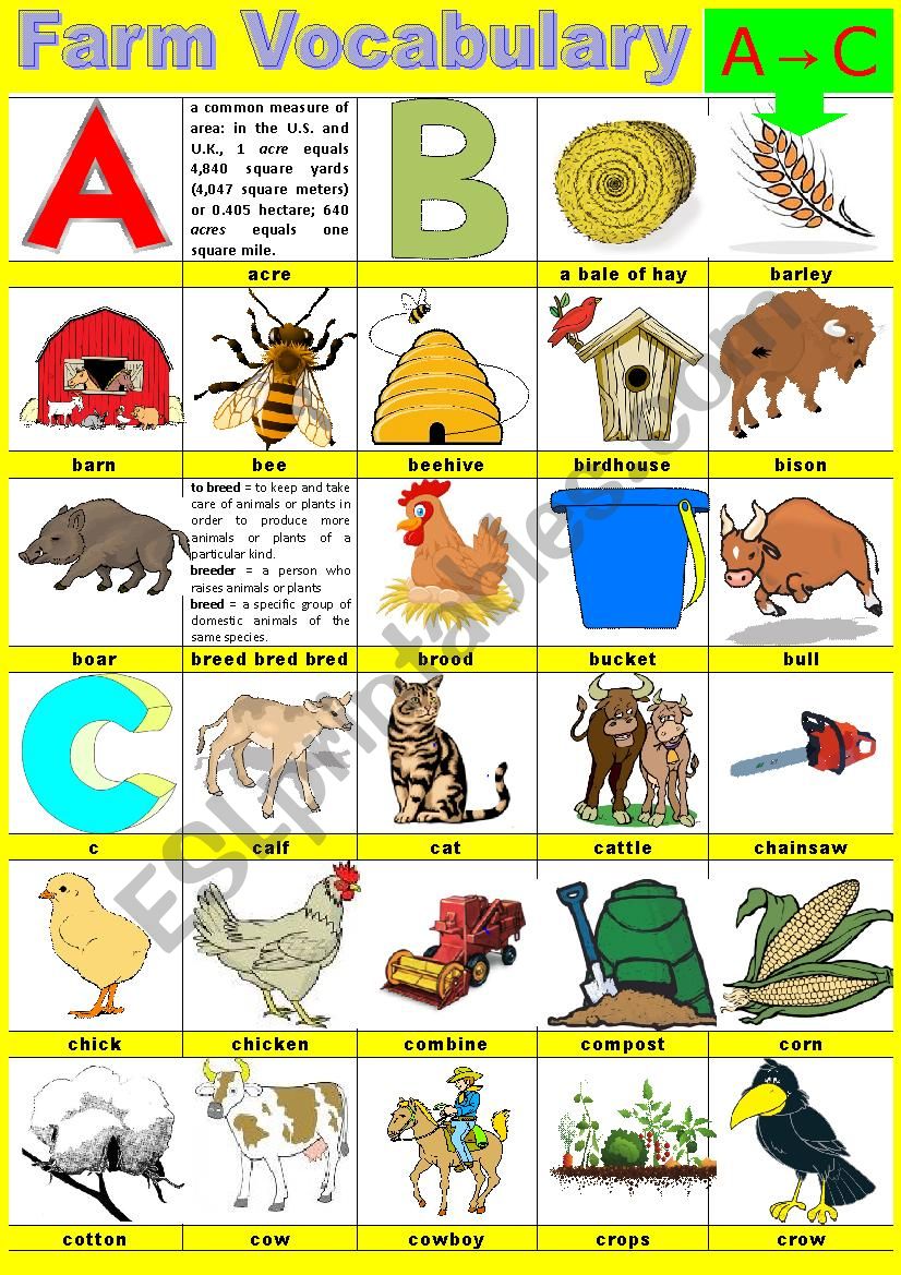 Farm vocabulary - Pictionary -  A to C
